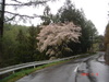 Dsc02365
