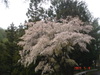 Dsc02367