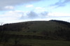 Dsc07696_2