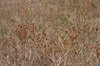 Dsc07804