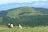 Dsc08434