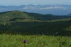 Dsc08439