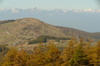 Dsc01350