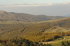 Dsc01445