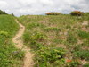 Dsc02198