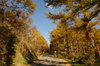 Dsc02820