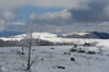 Dsc03748