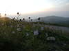 P1010590_1